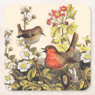 Spring Robin Birds Red Vogelbeobachtung Rechteckiger Pappuntersetzer