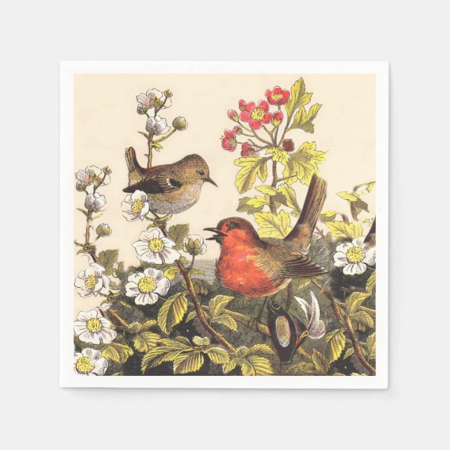 Spring Robin Birds Red Vogelbeobachtung Serviette (Vorderseite)