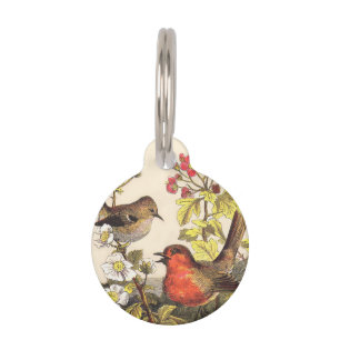 Spring Robin Birds Red Vogelbeobachtung Tiernamensmarke
