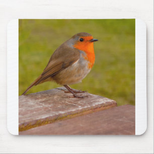 Spring Robin Mousepad