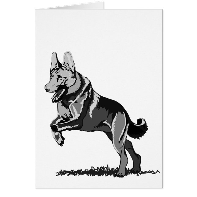 Spring Schäferhund (Vorne)