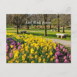 Spring Season Flower Garden Get Well Soon Postkarte