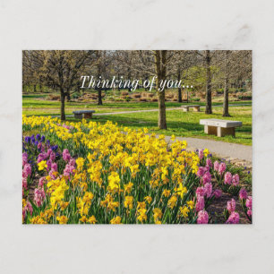 Spring Season Flower Garden Thinking Of You Postkarte