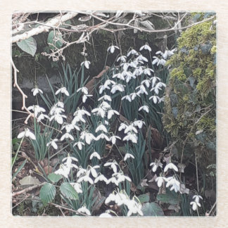 Spring Snowdrops Glass Untersetzer