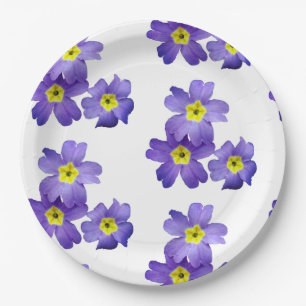 Spring Sprung Paper Teller 9