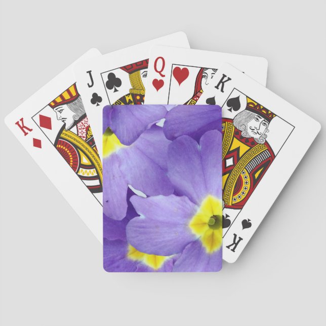 Spring Sprung Playing Cards Spielkarten (Rückseite)