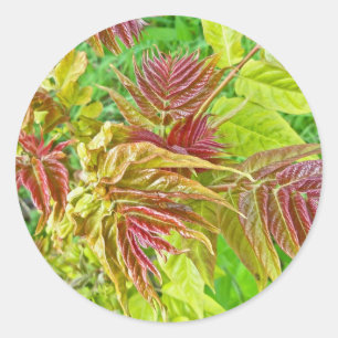 Spring Sumac Blätter Sticker
