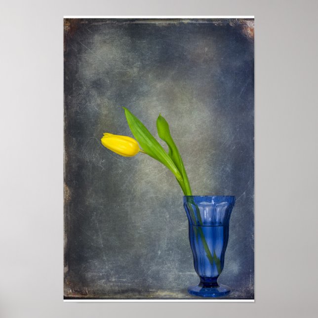 Spring Sunshine Poster (Vorne)