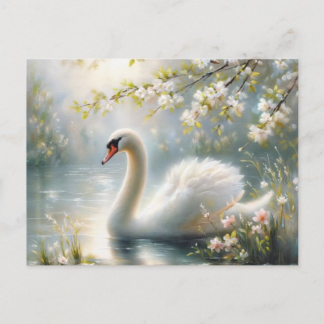 Spring Swan Swimming On Lake Blossoms Postkarte (Vorderseite)