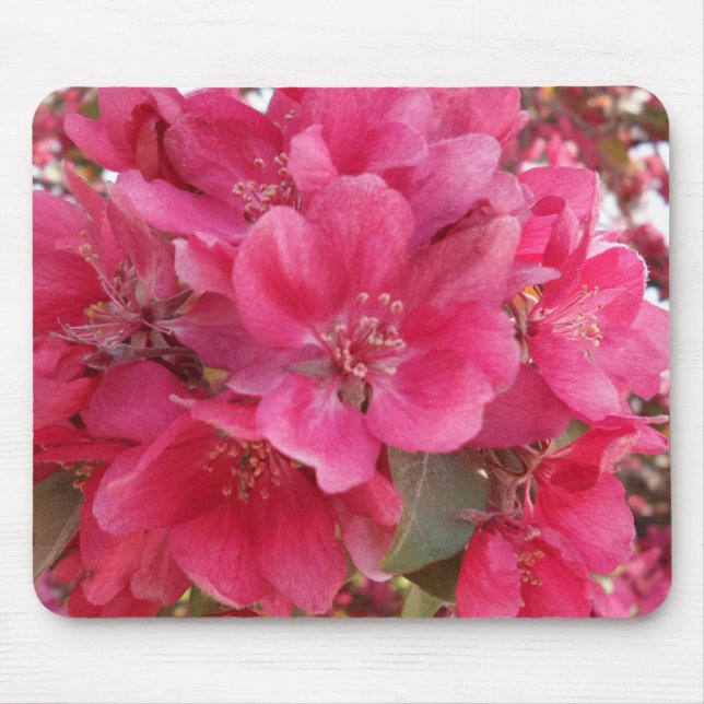 Spring Time Blume Mousepad (Vorne)