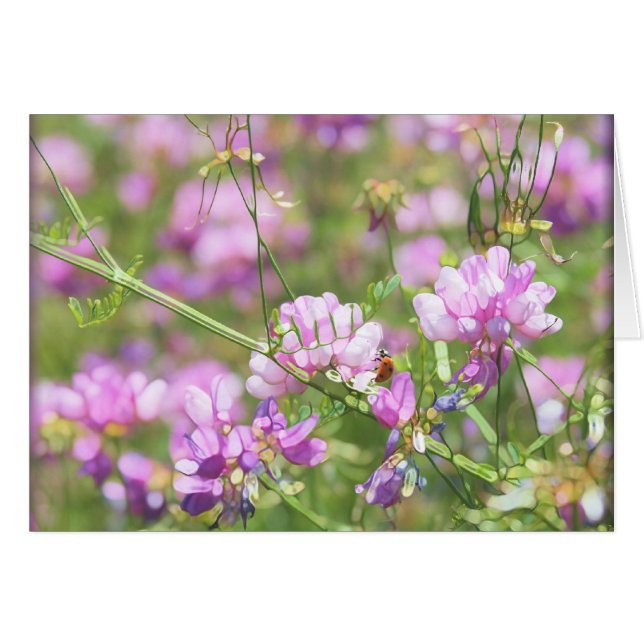 Spring Time LadyBug - Leere (Vorderseite (Horizontal))