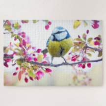 Spring Tit Bird Spring Blue Nature Branch