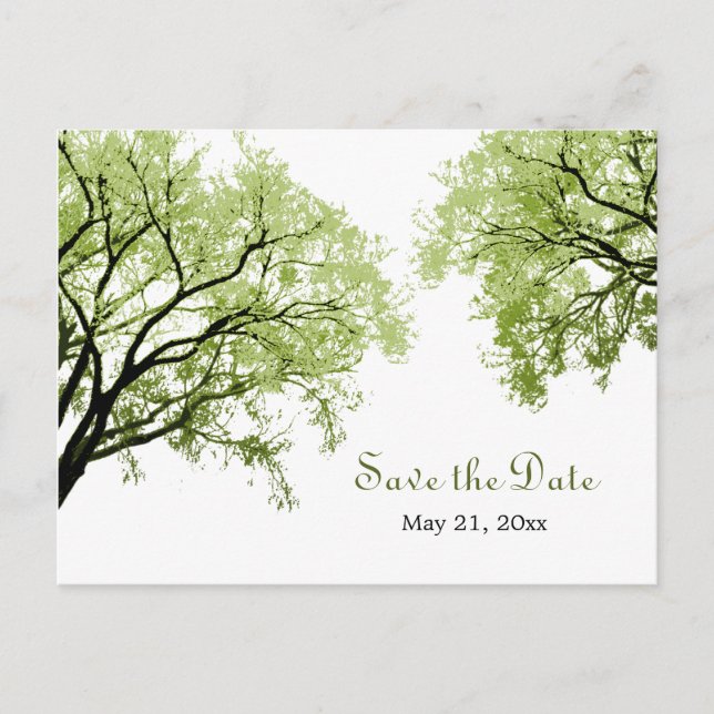 Spring Trees 2 - Save the Date Postkarte (Vorderseite)