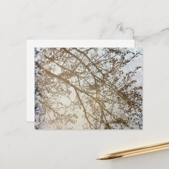 Spring Treflections Bike Path Puddle Kanada Postkarte (Vorderseite/Rückseite Beispiel)