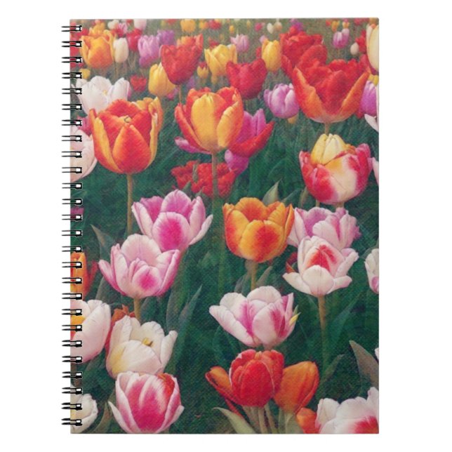 Spring Tulip Garden Journal Notizblock (Vorderseite)
