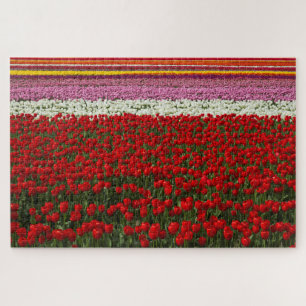 Spring Tulip Super Challenge Puzzle