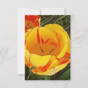 Spring Tulips Flat Greeting Card Karte