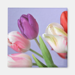 Spring Tulips Magnet