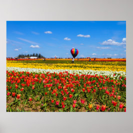 Spring Tulips Poster