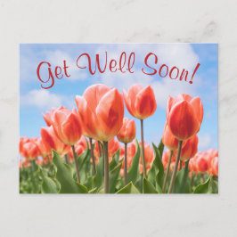 Spring Tulips Sunny bald wieder gut Postcard Postkarte