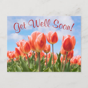 Spring Tulips Sunny bald wieder gut Postcard Postkarte