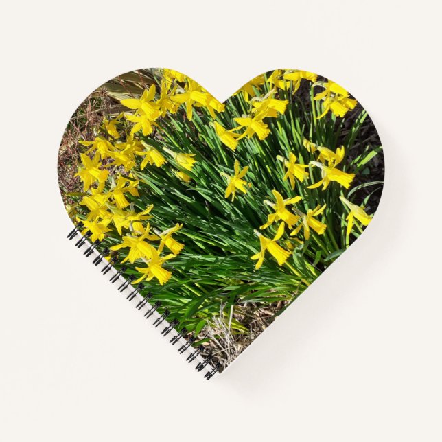 Spring Yellow Daffodils Herzbuch Notizbuch (Vorderseite)