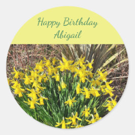 Spring Yellow Daffodin Geburtstag Runder Aufkleber