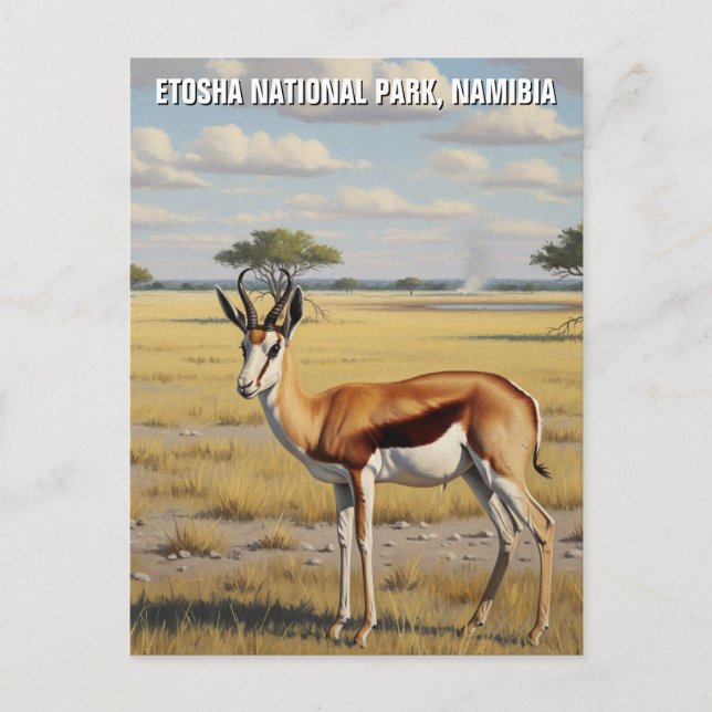 Springbok Etosha Nationalpark Namibia Travel Postkarte (Vorderseite)
