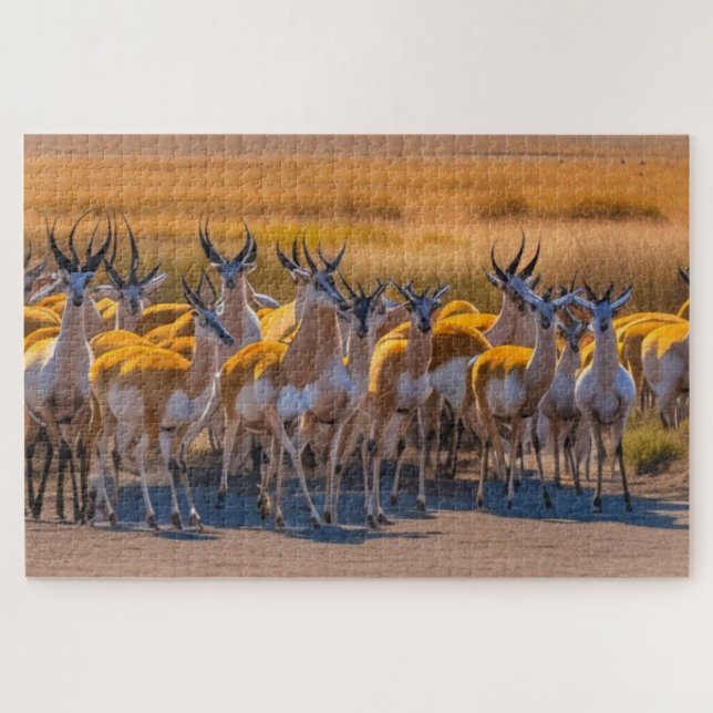 Springbok Herd Puzzle (Horizontal)