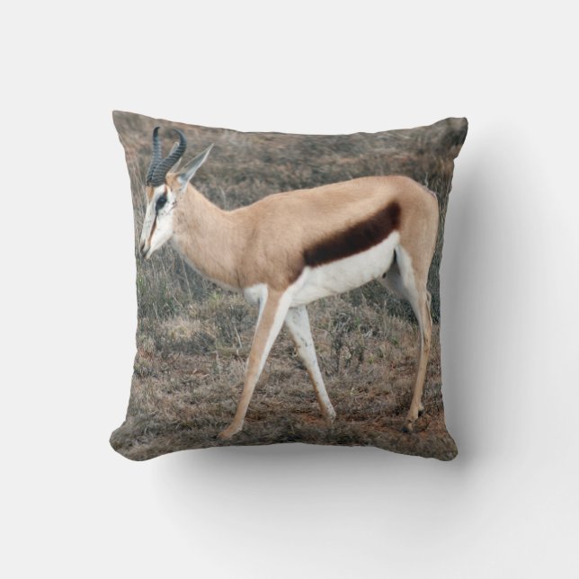 Springbok Kissen (Vorderseite)