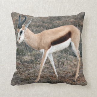 Springbok Kissen