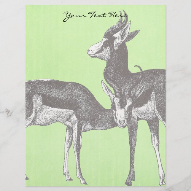 Springbok Letterhead (Vorderseite)