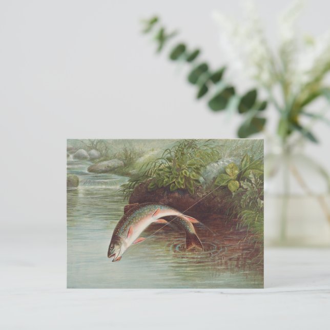 Springbrasse von S.A. Kilbourne Vintager Fisch Postkarte (Stehend Vorderseite)