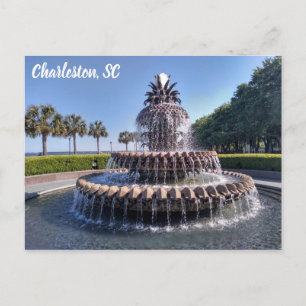 Springbrunnen mit Ananas in Charleston South Carol Postkarte