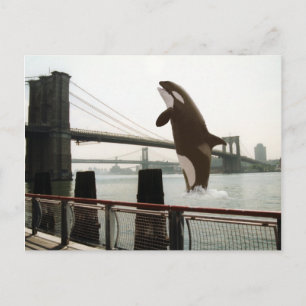 Springen der Brooklyn Bridge Postcard Postkarte