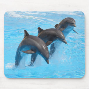 Springen der Delphin-Mäusematte Mousepad