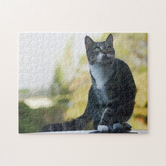 Springen katzenartig puzzle (Horizontal)