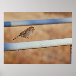 Springen Poster
