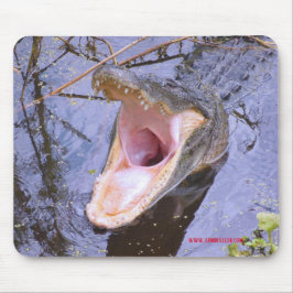 Springen Sie herein!  Die Geldstrafe des Wassers! Mousepad