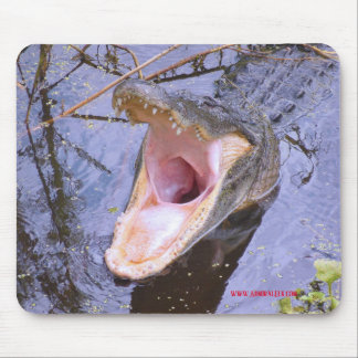 Springen Sie herein! Die Geldstrafe des Wassers! Mousepad