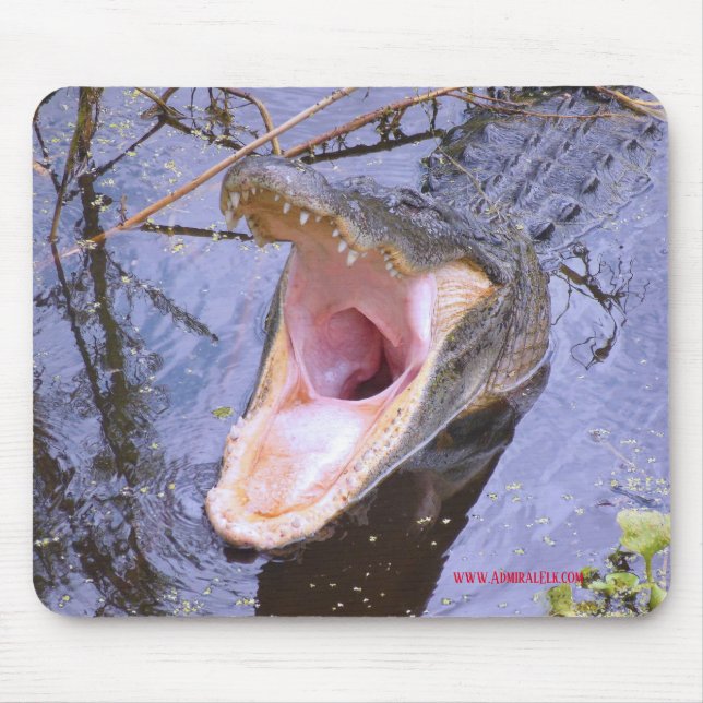 Springen Sie herein!  Die Geldstrafe des Wassers! Mousepad (Vorne)