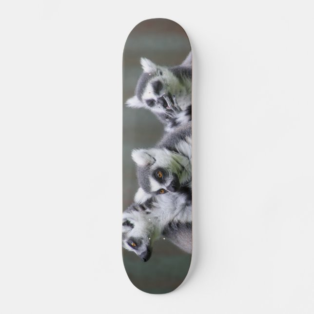 SPRINGENDE LEMUREN SKATEBOARD (Vorderseite)