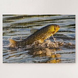Springender Graskarpfen Puzzle