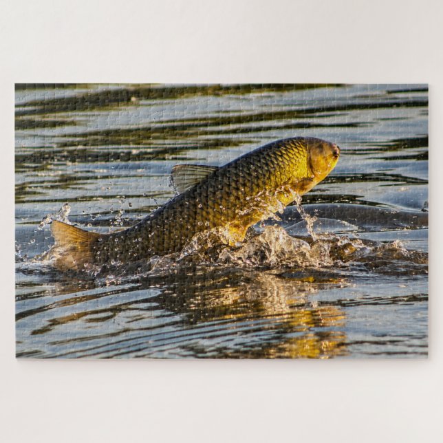 Springender Graskarpfen Puzzle (Horizontal)