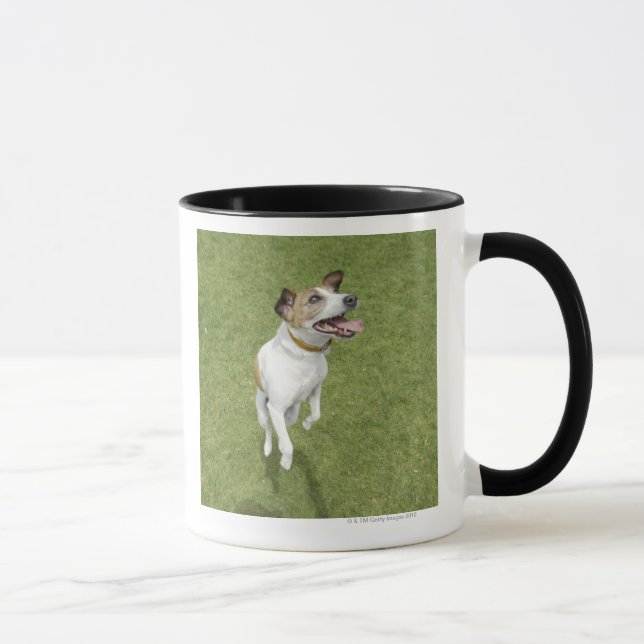 Springender Jackrussell-Terrier, erhöhte Ansicht Tasse (Rechts)