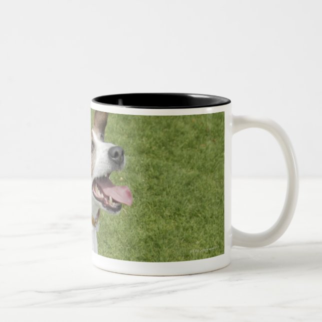 Springender Jackrussell-Terrier, erhöhte Ansicht Zweifarbige Tasse (Rechts)