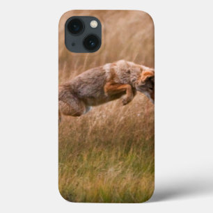 Springender Kojote - Gibbon-Wiesen Case-Mate iPhone Hülle