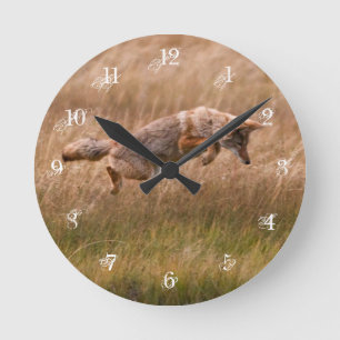 Springender Kojote - Gibbon-Wiesen Runde Wanduhr
