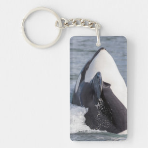 Springender Orca-Wal Schlüsselanhänger