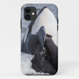 Springender Orcawal Case-Mate iPhone Hülle